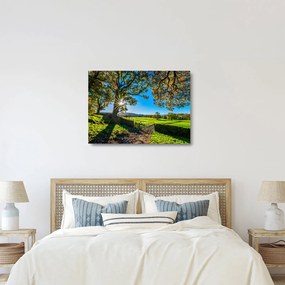 Obraz na szkle - widok pola (70x50 cm)
