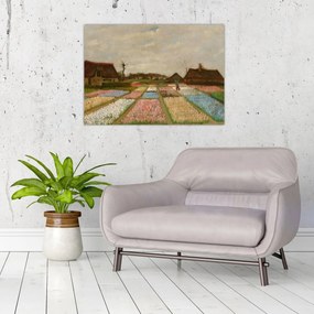 Obraz - Vincent van Gogh, Flower Beds in Holland, reprodukcje (70x50 cm)