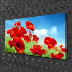 Obraz canvas na ścianę Maki w Porannej Rosie