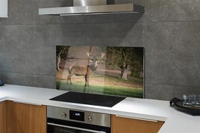 Panel nad Blat Kuchenny Spokój Jelenia na Polanie