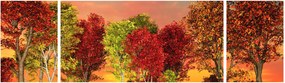 Obraz - Kolorowe drzewa (170x50 cm)