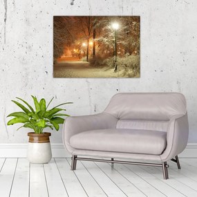 Obraz - Zaśnieżony park (70x50 cm)