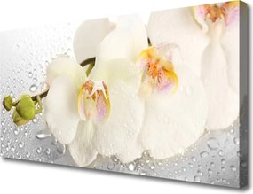 Fotoobraz na płótnie Romantyczna Kompozycja Kwiatowa