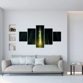 Obraz ciemnego lasu (125x70 cm)