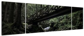 Obraz z czarnego lasu (170x50 cm)