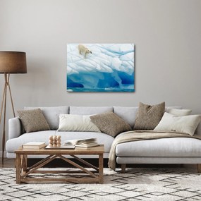 Obraz - Niedźwiedź polarny (70x50 cm)