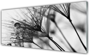 Panel Kuchenny Botaniczna Abstrakcja Graficzna