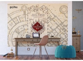 Fototapeta dla dzieci Harry Potter Marauders Map 252 x 182 cm, 4 części