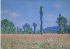 Obraz na szkle - Claude Monet, Poppy Field (Giverny), reprodukcje (70x50 cm)