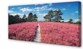 Obraz canvas na ścianę Pole Wrzosów i Las