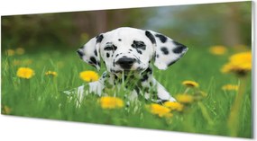 Szklany Panel Szczęśliwy Pies na Zielonej Łące