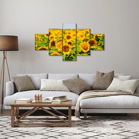 Obraz - Słoneczniki (125x70 cm)