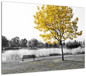 Obraz - Odpoczynek w parku (70x50 cm)