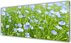 Panel Kuchenny Kwiaty W Polnej Trawie