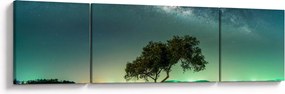 Obraz nocnego nieba (170x50 cm)