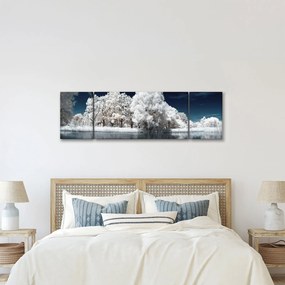 Obraz - Śnieżnobiałe drzewa (170x50 cm)