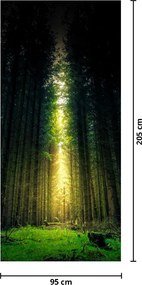 Fototapeta na drzwi - Ciemny las (95x205cm)