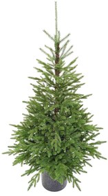 Choinka sztuczna w doniczce PE Świerk Karpacki 150cm 150LED