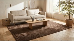 Brązowy dywan 160x230 cm Zephyr – ESTE