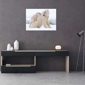Obraz - Niedźwiedzie polarne (70x50 cm)