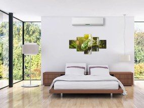 Obraz kameleona (125x70 cm)