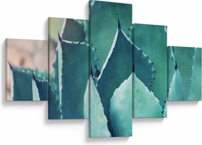 Obraz - Sukulent (125x70 cm)