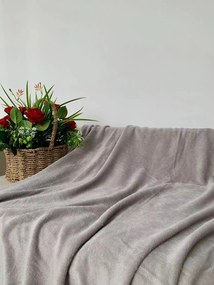 Koc z mikropluszu SOFT, jasnoszary Rozmiar: 200 x 220 cm