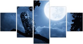 Obraz - Nocna Sowa (125x70 cm)