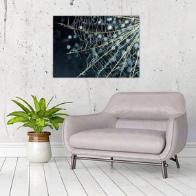 Obraz - Kwiat z pajęczyną (70x50 cm)