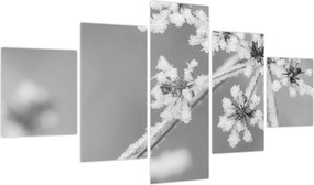 Obraz - Mrożona roślina (125x70 cm)