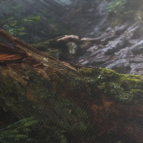 Obraz - W lesie (125x70 cm)