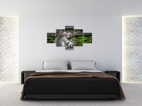 Obraz - małpki (125x70 cm)