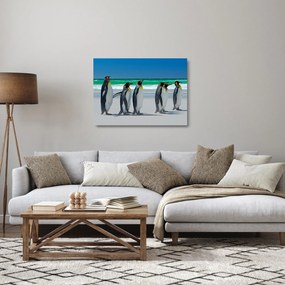Obraz na szkle - Grupa Pingwinów królewskich (70x50 cm)