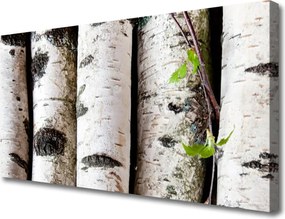 Obraz na płótnie Sylwetka Starego Drzewa