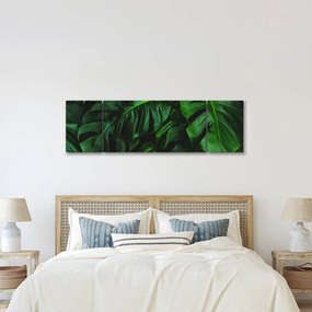 Obraz liści Monstery (170x50 cm)