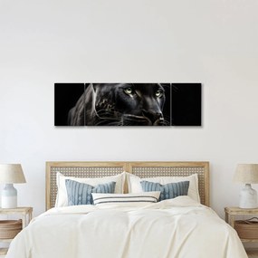 Obraz - Czarna Pantera (170x50 cm)