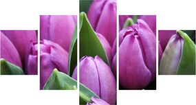Obraz - kwiaty tulipanów (125x70 cm)