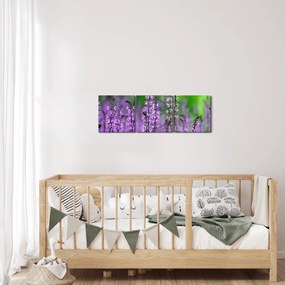 Obraz fioletowych kwiatów polnych (z zegarem) (90x30 cm)