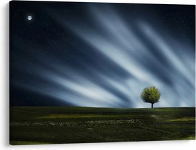 Obraz zorzy polarnej nad wrzosowiskami (70x50 cm)