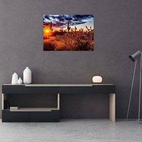 Obraz na szkle - Złota godzina pustyni (70x50 cm)