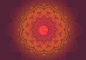 Fototapeta - Mandala, ciemna (196x136 cm)