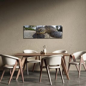 Obraz żółwia (z zegarem) (90x30 cm)