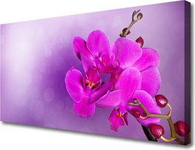 Obraz canvas Ostatnie Promienie nad Doliną