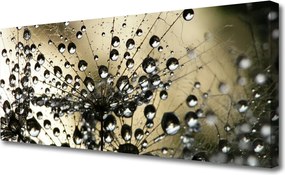 Obraz na płótnie Lekkość Mniszka Lekarskiego