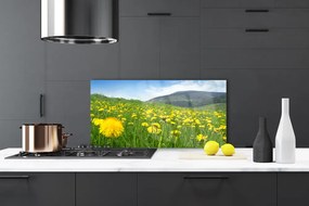 Szkło do Kuchni na Ścianę Polny Urok Mniszka