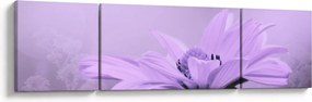 Obraz - Fioletowy kwiat (170x50 cm)