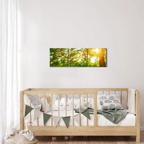Obraz - Słoneczny Las (z zegarem) (90x30 cm)