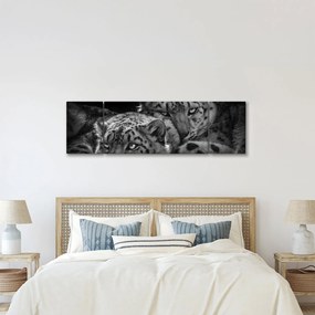 Obraz - Odpoczywające gepardy (170x50 cm)
