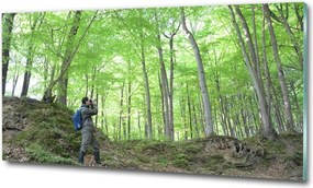Foto-obraz szklany Ornitolog w lesie