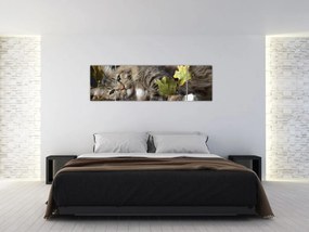 Obraz - Leżący kot (170x50 cm)